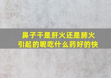 鼻子干是肝火还是肺火引起的呢吃什么药好的快