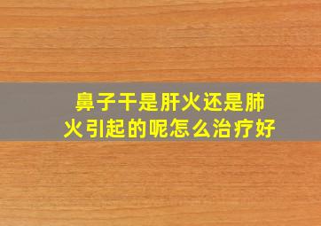 鼻子干是肝火还是肺火引起的呢怎么治疗好