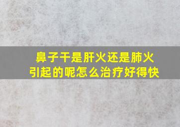 鼻子干是肝火还是肺火引起的呢怎么治疗好得快