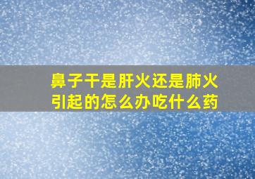 鼻子干是肝火还是肺火引起的怎么办吃什么药