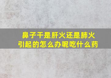 鼻子干是肝火还是肺火引起的怎么办呢吃什么药