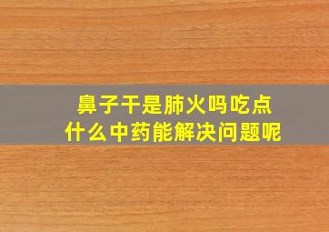 鼻子干是肺火吗吃点什么中药能解决问题呢