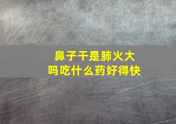 鼻子干是肺火大吗吃什么药好得快