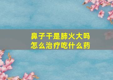 鼻子干是肺火大吗怎么治疗吃什么药