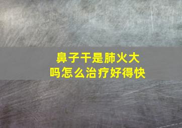 鼻子干是肺火大吗怎么治疗好得快