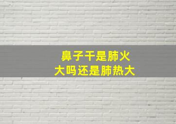 鼻子干是肺火大吗还是肺热大