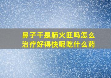 鼻子干是肺火旺吗怎么治疗好得快呢吃什么药