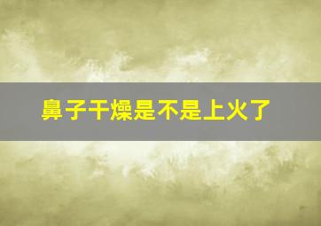 鼻子干燥是不是上火了