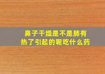 鼻子干燥是不是肺有热了引起的呢吃什么药