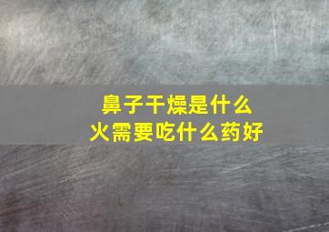 鼻子干燥是什么火需要吃什么药好