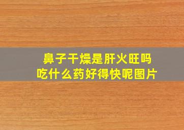 鼻子干燥是肝火旺吗吃什么药好得快呢图片