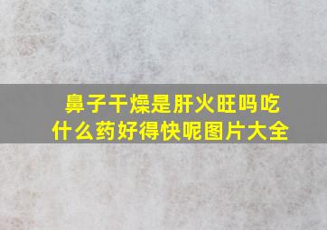 鼻子干燥是肝火旺吗吃什么药好得快呢图片大全