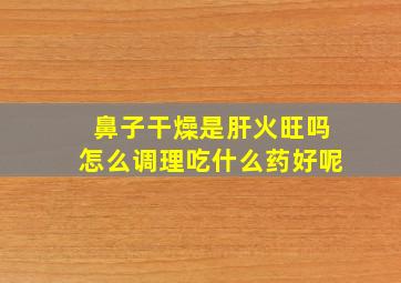 鼻子干燥是肝火旺吗怎么调理吃什么药好呢