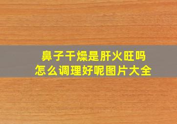 鼻子干燥是肝火旺吗怎么调理好呢图片大全