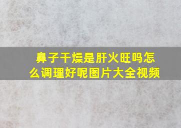 鼻子干燥是肝火旺吗怎么调理好呢图片大全视频