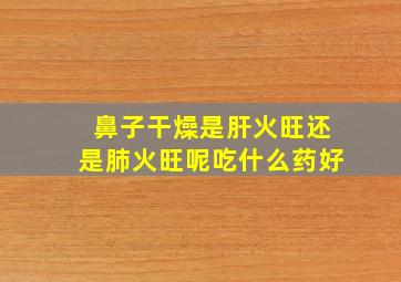 鼻子干燥是肝火旺还是肺火旺呢吃什么药好