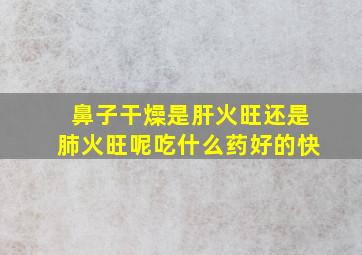 鼻子干燥是肝火旺还是肺火旺呢吃什么药好的快