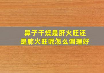 鼻子干燥是肝火旺还是肺火旺呢怎么调理好