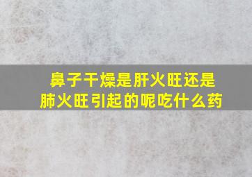 鼻子干燥是肝火旺还是肺火旺引起的呢吃什么药