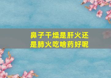 鼻子干燥是肝火还是肺火吃啥药好呢