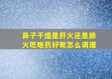 鼻子干燥是肝火还是肺火吃啥药好呢怎么调理