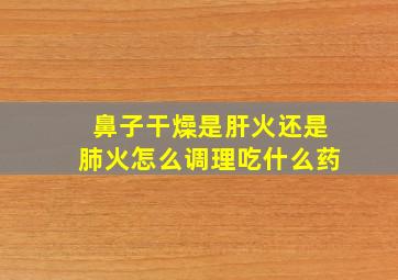 鼻子干燥是肝火还是肺火怎么调理吃什么药