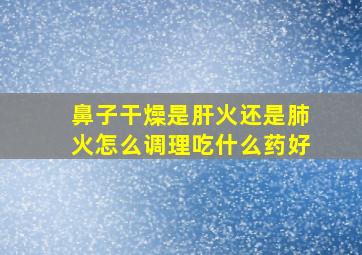 鼻子干燥是肝火还是肺火怎么调理吃什么药好