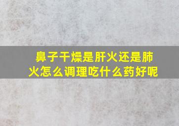 鼻子干燥是肝火还是肺火怎么调理吃什么药好呢