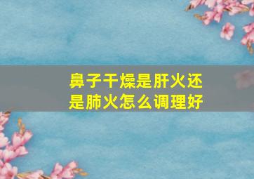 鼻子干燥是肝火还是肺火怎么调理好