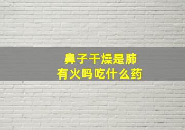 鼻子干燥是肺有火吗吃什么药