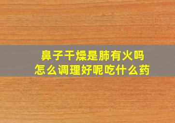 鼻子干燥是肺有火吗怎么调理好呢吃什么药