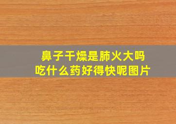 鼻子干燥是肺火大吗吃什么药好得快呢图片