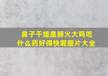 鼻子干燥是肺火大吗吃什么药好得快呢图片大全