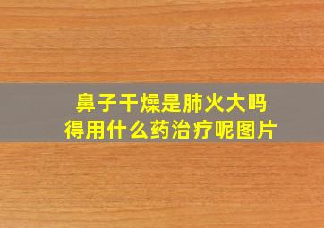 鼻子干燥是肺火大吗得用什么药治疗呢图片