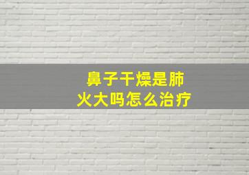 鼻子干燥是肺火大吗怎么治疗