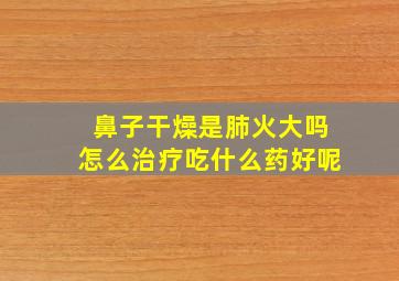 鼻子干燥是肺火大吗怎么治疗吃什么药好呢