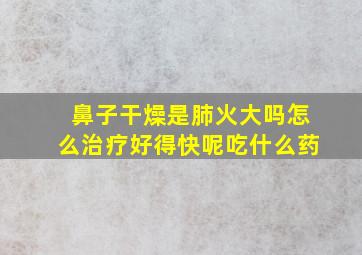 鼻子干燥是肺火大吗怎么治疗好得快呢吃什么药