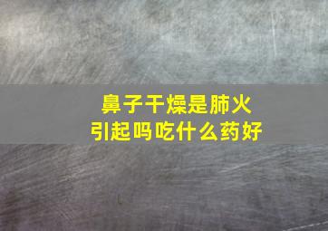 鼻子干燥是肺火引起吗吃什么药好