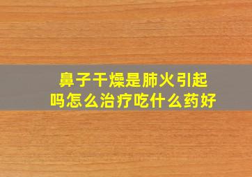 鼻子干燥是肺火引起吗怎么治疗吃什么药好