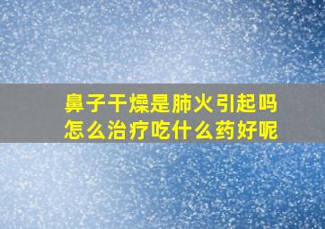 鼻子干燥是肺火引起吗怎么治疗吃什么药好呢