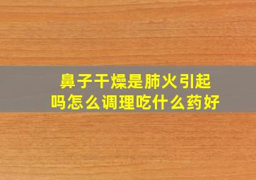 鼻子干燥是肺火引起吗怎么调理吃什么药好