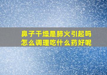 鼻子干燥是肺火引起吗怎么调理吃什么药好呢