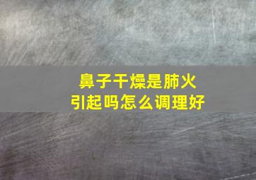 鼻子干燥是肺火引起吗怎么调理好