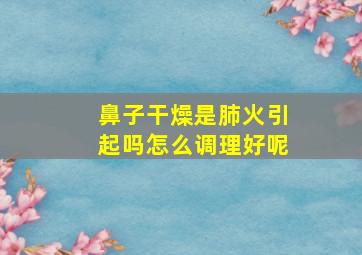 鼻子干燥是肺火引起吗怎么调理好呢