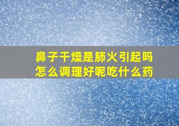 鼻子干燥是肺火引起吗怎么调理好呢吃什么药