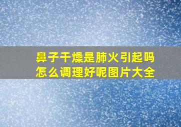 鼻子干燥是肺火引起吗怎么调理好呢图片大全