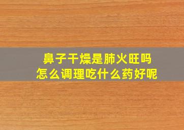 鼻子干燥是肺火旺吗怎么调理吃什么药好呢