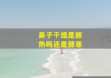 鼻子干燥是肺热吗还是肺寒