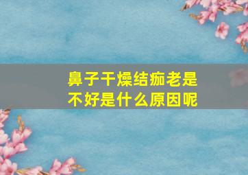 鼻子干燥结痂老是不好是什么原因呢