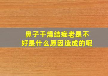 鼻子干燥结痂老是不好是什么原因造成的呢